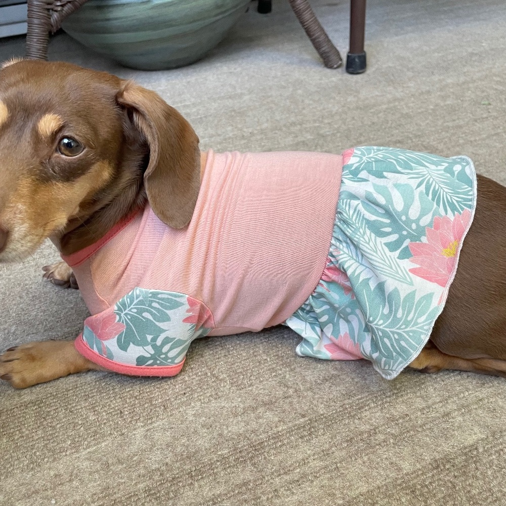 Light Pink & Mint Tropical Floral Printed Doggy Casual Onesie In Size X-Small